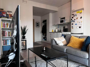 Studio Apt near Airport and Station